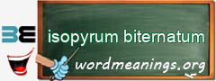 WordMeaning blackboard for isopyrum biternatum